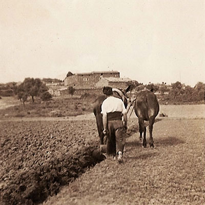 Masia Vilalta cent vint-i-cinc anys d'història