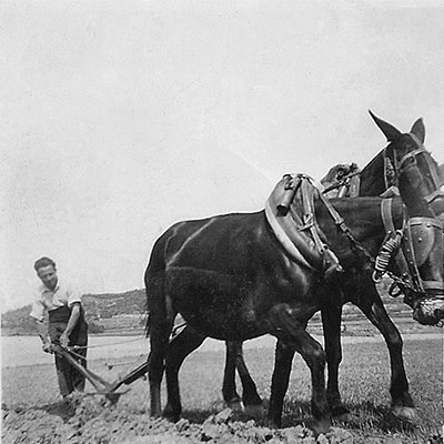 Masia Vilalta cent vint-i-cinc anys d'història