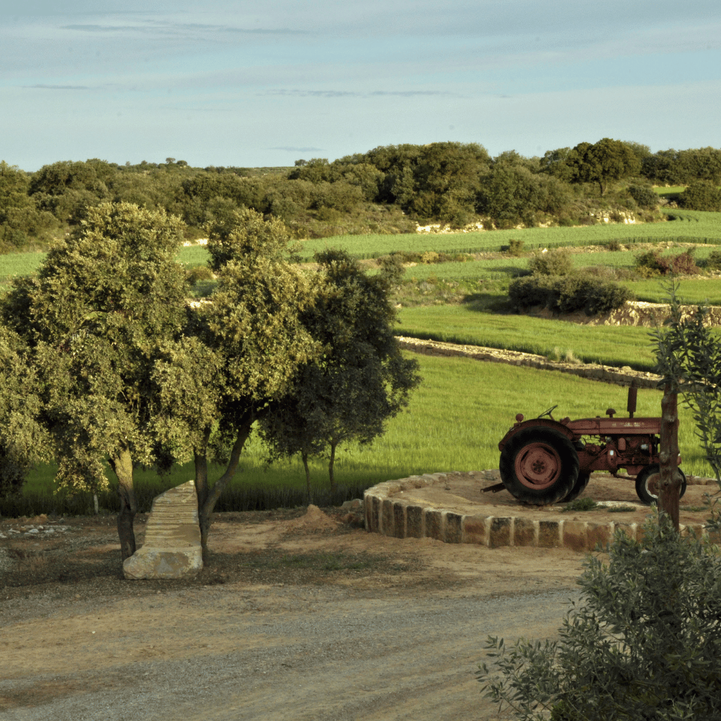 Gaudeix de la natura i les tradicions locals en la Masia Vilalta